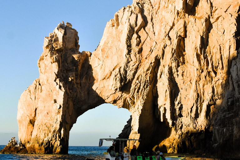 Cabo: Whale-Whatching Boat Trip w/ All-Women Crew and Photos