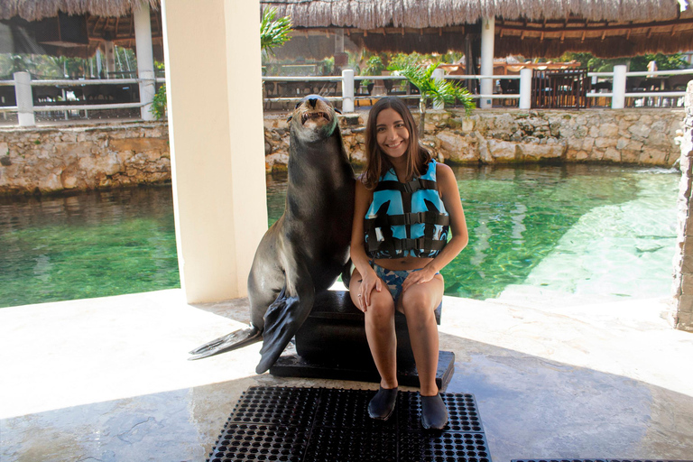 Puerto Aventuras: Ticket de entrada al Descubrimiento de los Leones MarinosPuerto Aventuras: boleto de descubrimiento de leones marinos