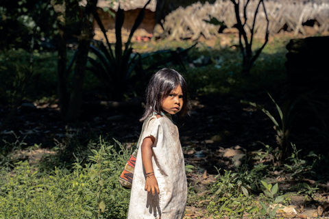 Zaginione Miasto 4 dni