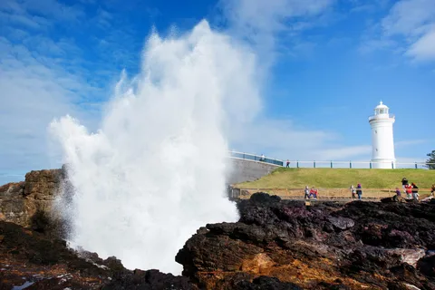 Från Sydney: Kiama & South Coast Scenic Privat tur