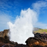 From Sydney: Kiama & South Coast Scenic Private Tour