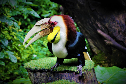 Parque de las Aves de Chimelong