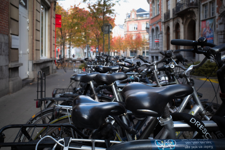 Leuven Bike Tours: Highlights & Beyond + café + bike rental The Leuven Highlights & Beyond (public tour)