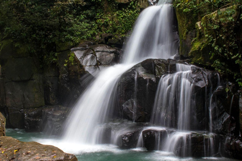 Cali: Trilha de montanha com guia e recolha ecológicaCali: Trilha na montanha com guia e coleta ecológica