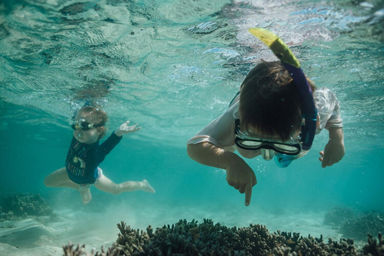 Port Vila: Waterfalls, Snorkel & Underwater Post Office Tour