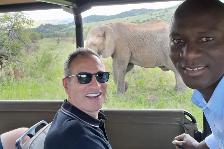 Johannesburg: 3-stündige Pirschfahrt im Pilanesberg-Nationalpark