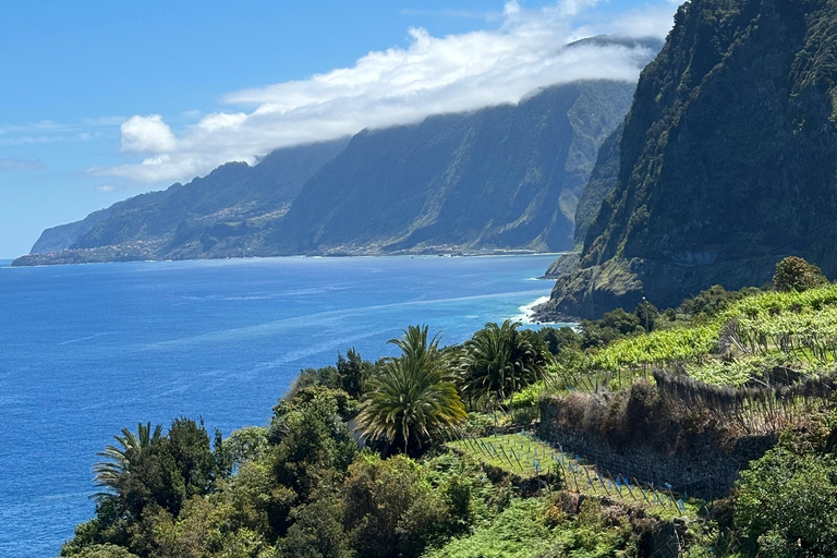 West Jeep tour Madeira: Fanal, Seixal beach, Vulcaninc Pools