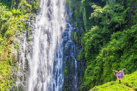 Materuni Waterfall 1-day trip from Arusha or Moshi