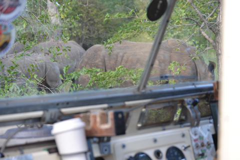 Livingstone: Recorridos de caza y paseo en rinoceronteLivingstone: Safari en el hermoso PN Mosi-Oa-Tunya