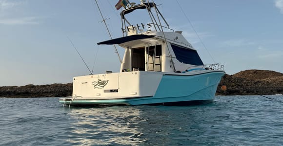 Angelruten an der Reling eines Motorboots auf blauem Atlantikwasser
