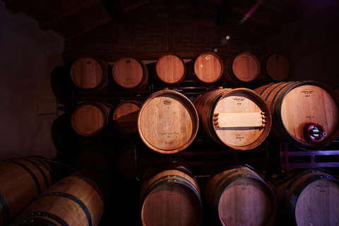 Segovia: Winery Tour with Wine Tasting Segovia: Tour with Wine Tasting