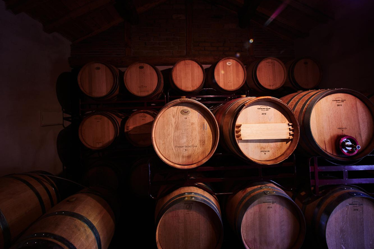 Segovia: Winery Tour with Wine Tasting Segovia: Tour with Wine Tasting