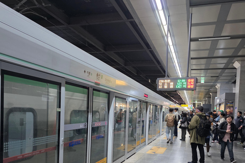 Seoul: Hallyu Nami Island Day Trip with romantic Train