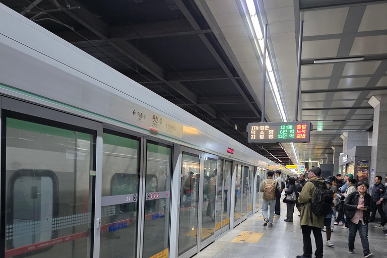 Seoul: Hallyu Nami Island Day Trip with romantic Train