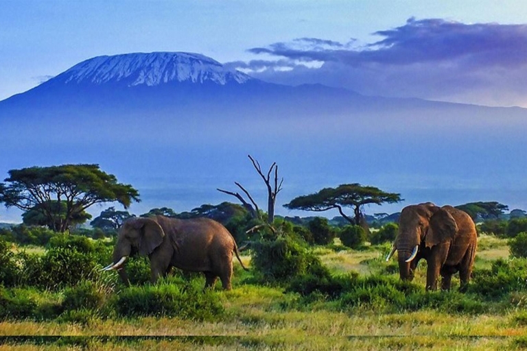 Safari z noclegiem w Parku Narodowym AmboseliNocne doświadczenie