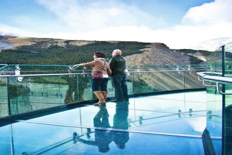 Athabasca Glacier Ice Odyssey Experience-All-Terrain Vehicle