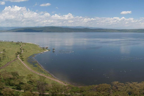 Nairobi: Lake Bogoria Canoe and Birdwatching Tour