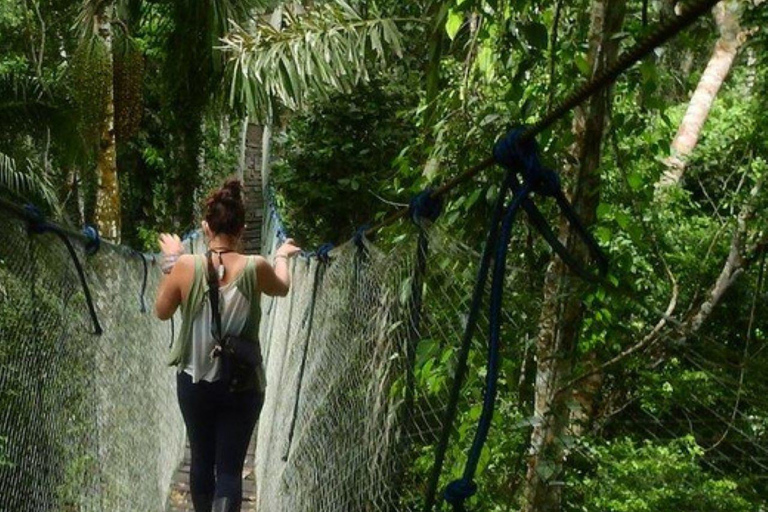 Puerto Maldonado - Aventure dans la jungle