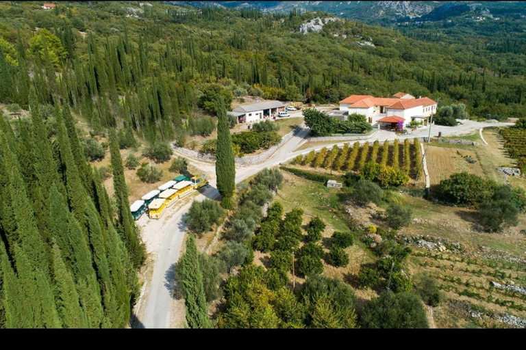 Dubrovnik: Brajković Winery and Ljuta River Tour with …