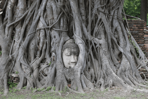 Desde Bangkok: Excursión de un día a Ayutthaya, lugar declarado patrimonio de la humanidad por la UNESCO