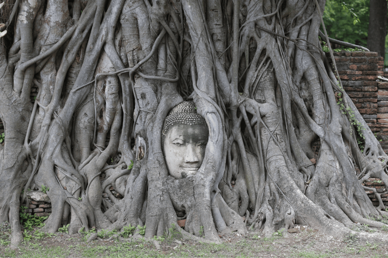 Vanuit Bangkok: Ayutthaya Unesco-werelderfgoedlocatie dagtrip