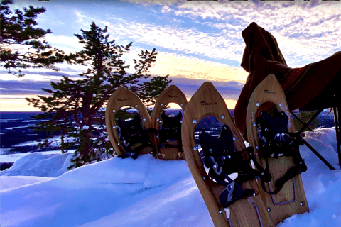Levi: Private Snowshoe Walk with Tesla Pickup & Drink