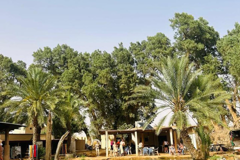 Djerba: Ksar Hadada, Oasis Camp Sahara, & Lac Salé Tour