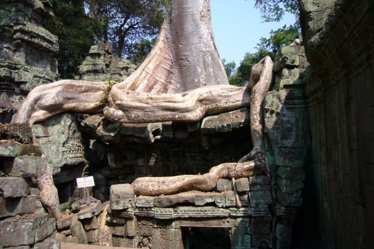 3 dni - kompleks świątynny Angkor, grupa Rolous i pływająca wioska