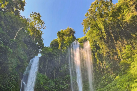 Bali Nord: Cascate e terrazza di riso di Sekumpul e BanyumalaTour privato senza biglietti d'ingresso