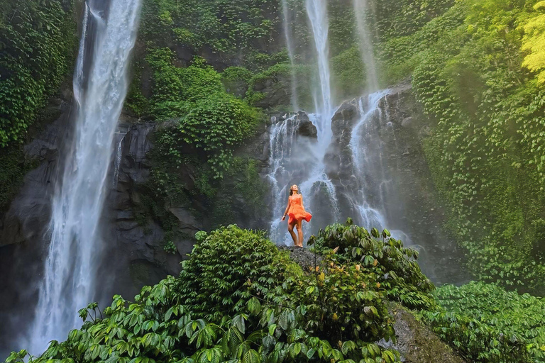 Bali Nord: Cascate e terrazza di riso di Sekumpul e BanyumalaTour privato senza biglietti d'ingresso