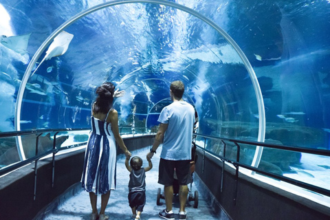 Rio de Janeiro Aquarium: AquaRio Entrance Official Ticket