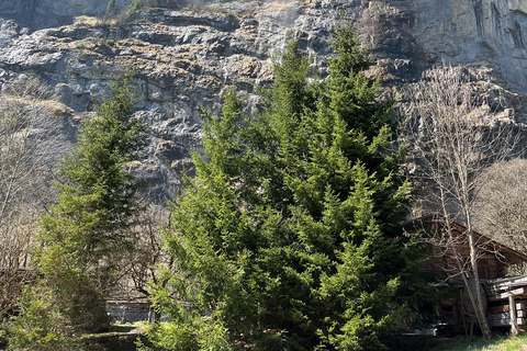 Von Basel aus: Private Tour zu den Alpen, Wasserfällen und Seen