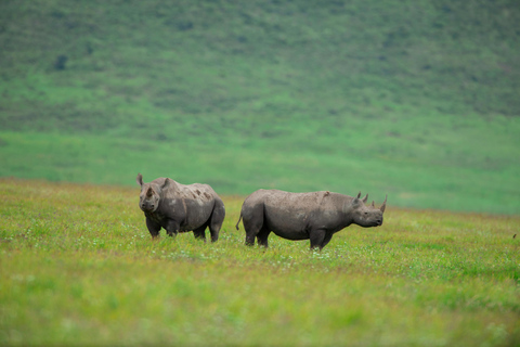 Tanzania: 7-Day Safari with Lodges & Game Drives