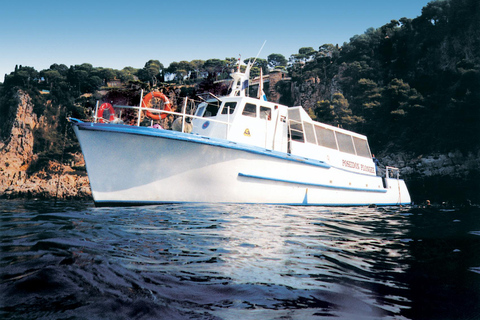 Vanuit Nice: Rondvaart zwemmen & snorkelen in de baai van Villefranche