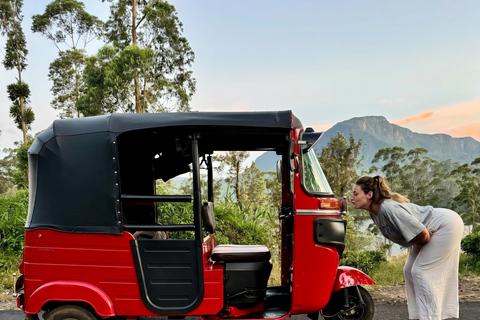 Colombo: Private Tuk-Tuk City Tour with Guide & Tickets Colombo: Private Tuk-Tuk Tour & Authentic Ceylon Tea Tasting