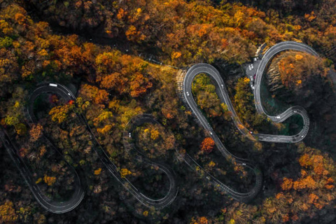 From Tokyo: Nikko World Heritage Sight Full Day Private Tour