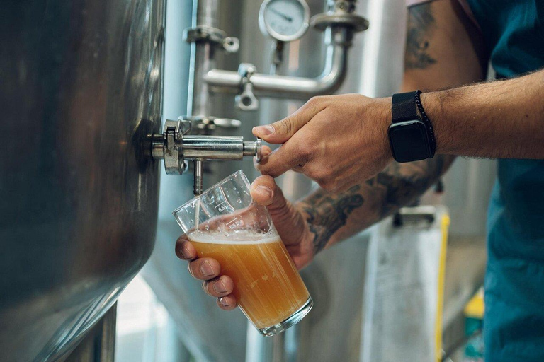 Beer Crawl – Local Brews, Cool Stops & Good Times | Basel