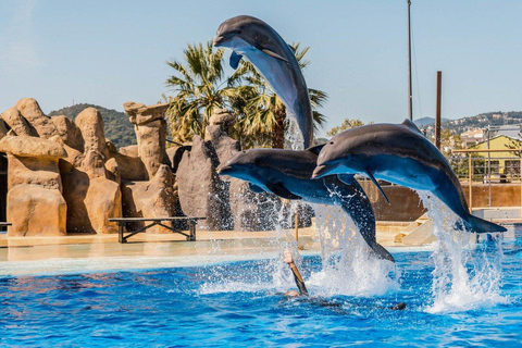 Palafolls: Marineland Dolphinarium and Water Park Tickets