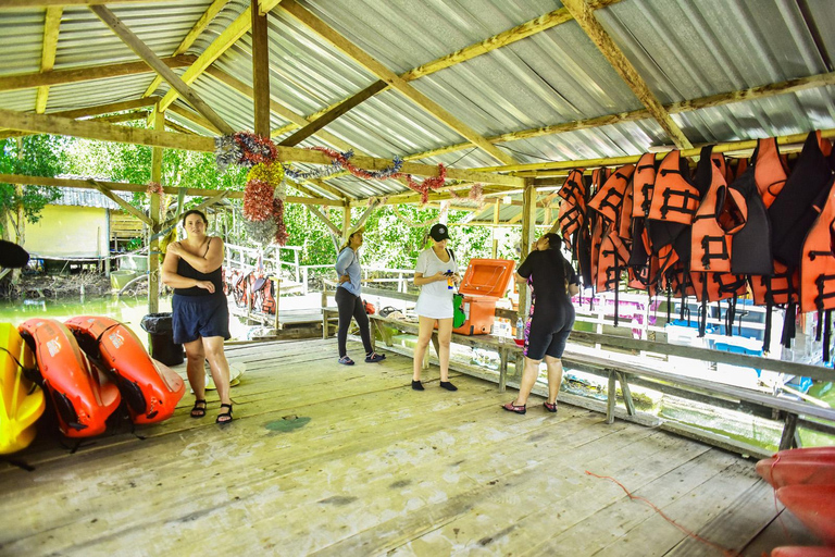 Krabi : visite d&#039;une demi-journée Bor Thor Mangrove Kayak Tour