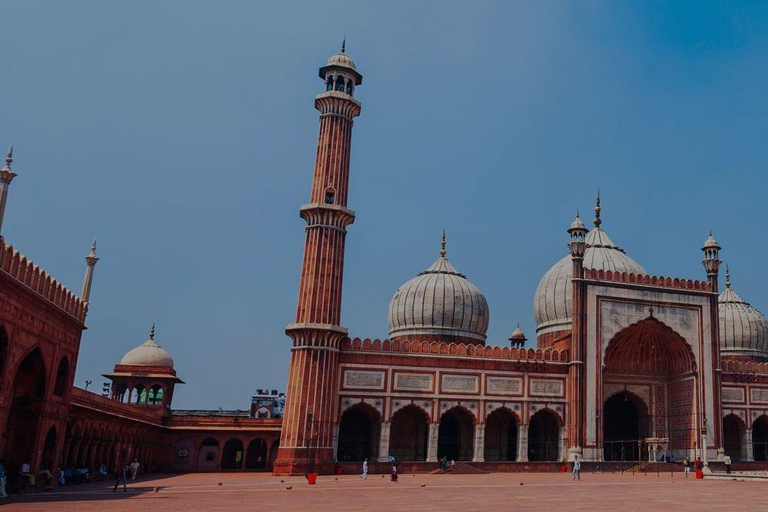 De Delhi : Lever de soleil sur le Taj Mahal et visite de la vieille ville de Delhi - en voiture