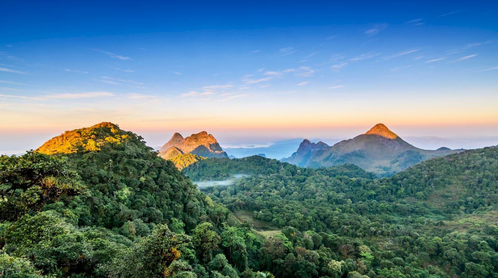 Chiang Mai: Chiang Dao Höhlen und Dschungelwanderung mit Mittagessen