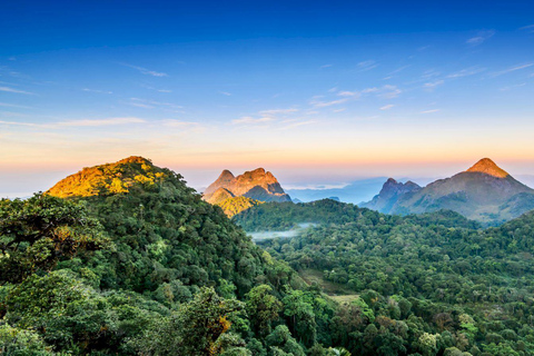 Chiang Mai: Grotte di Chiang Dao e trekking nella giungla con pranzo