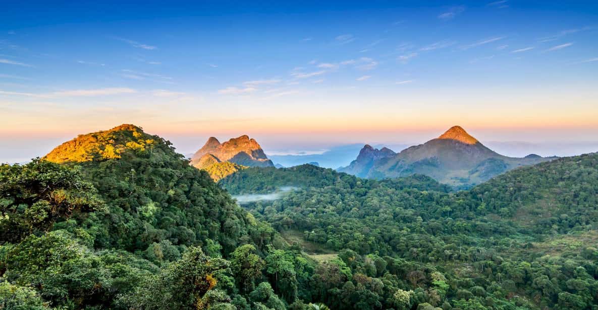 Chiang Mai Chiang Dao Caves And Jungle Trek With Lunch GetYourGuide