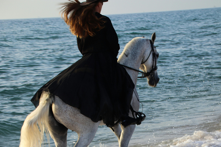 Fiji: Natadola Beach Horseback Riding Tour