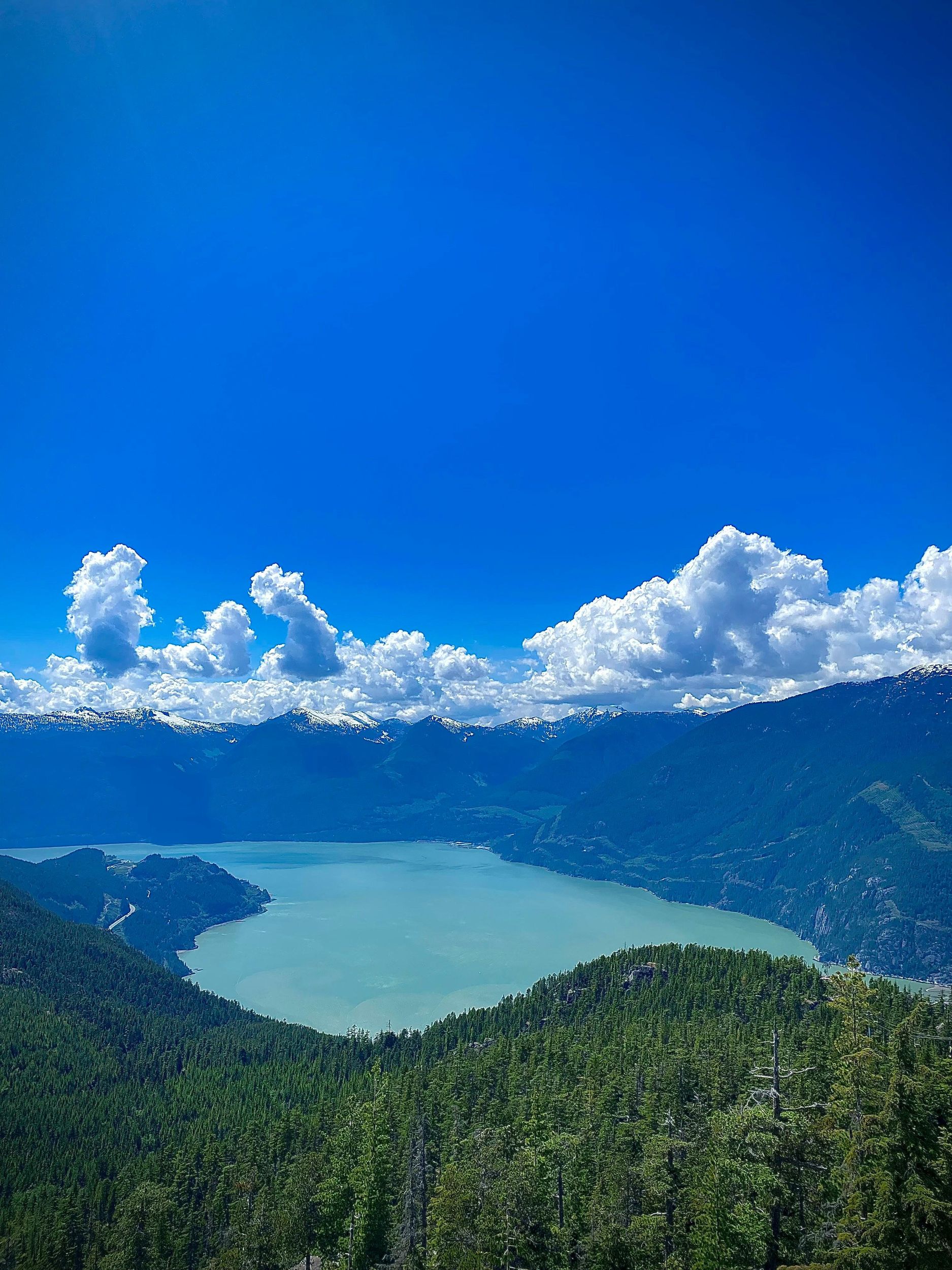 Ab Vancouver: Sea to Sky Gondola und Whistler – Tagestour