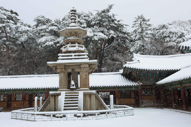 Busan: Winter Healing Park & (Gyeongju/Daegu) One Day Tour Healing Park + DAEGU Tour - Meet at Haeundae Station