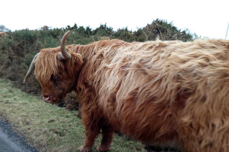 Édimbourg : Stirling, Highlands, Loch Ness, Mull - Circuit de 5 joursÉdimbourg : Stirling, Highlands, Loch Ness, Skye - Circuit de 5 jours
