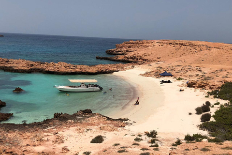 Muscat: Dimaniyat eiland snorkelen excursieHele dag Dimaniyat Eiland Tour