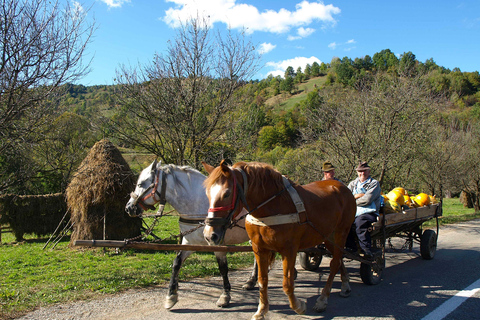 From Cluj-Napoca: Maramureș 3-Day Tour with Accommodation