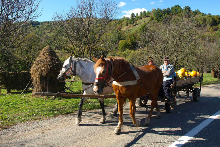 From Cluj-Napoca: Maramureș 3-Day Tour with Accommodation